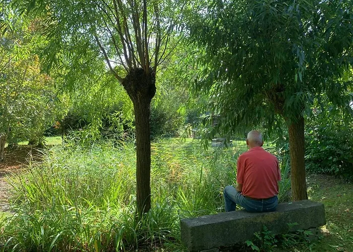 Logeren Op De Thoolse Parel Vakantiehuis