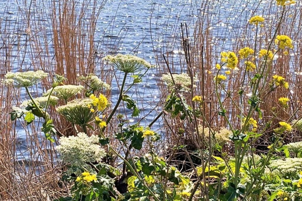 Logeren Op De Thoolse Parel