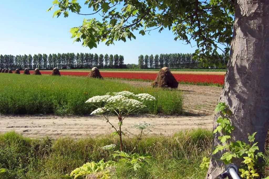 Holiday home Logeren Op De Thoolse Parel *